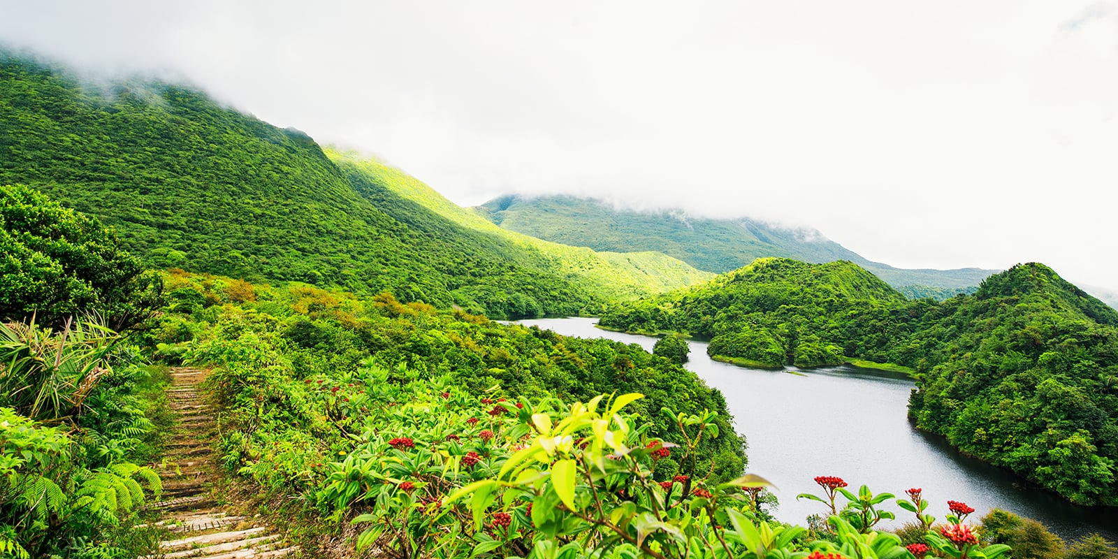 Dominica Citizenship By Investment Sanctuary Rainforest Eco Resort And Spa